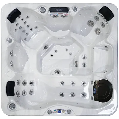 Avalon EC-849L hot tubs for sale in New Brunswick