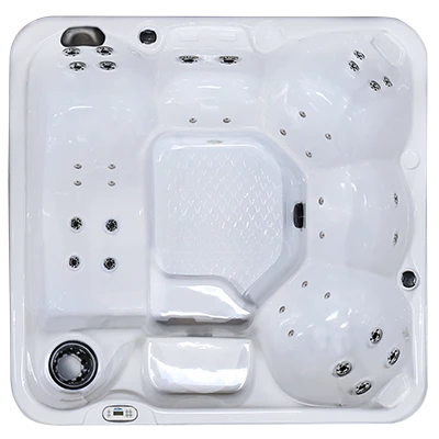 Hawaiian PZ-636L hot tubs for sale in New Brunswick